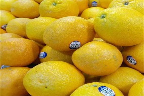 3109项目 资本视野下的健康饮品赛道解读